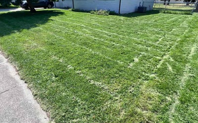 Photo of Karen F.'s yard after getting lawn care in Anacortes, WA