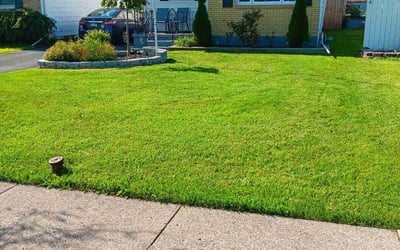 Photo of Melissa M.'s yard after getting lawn care in Tonawanda, NY