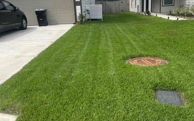Photo of Scott V.'s yard after getting lawn care in Kyle, TX