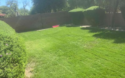 Photo of William H.'s yard after getting lawn care in Goodyear, AZ