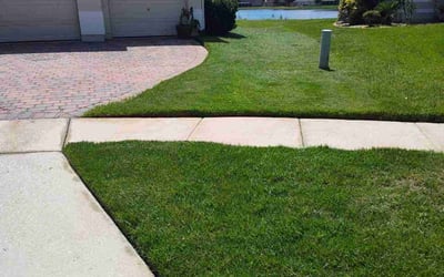Photo of Minh P.'s yard after getting lawn care in Fort Wayne, IN