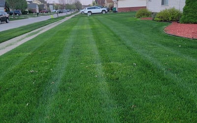 Photo of Mackenzie G.'s yard after getting lawn care in Belleville, MI
