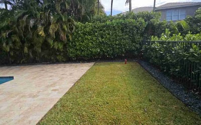 Photo of Patty H.'s yard after getting lawn care in Delray Beach, FL