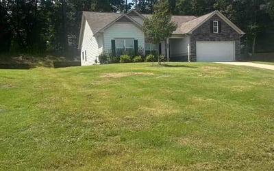 Photo of Victoria B.'s yard after getting lawn care in Nicholasville, KY