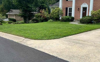 Photo of Sherri C.'s yard after getting lawn care in Bethesda, MD