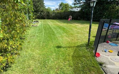 Photo of Joe Y.'s yard after getting lawn care in Buffalo, NY