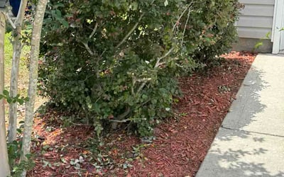 Photo of Annmarie H.'s yard after getting lawn care in Queens Village, NY