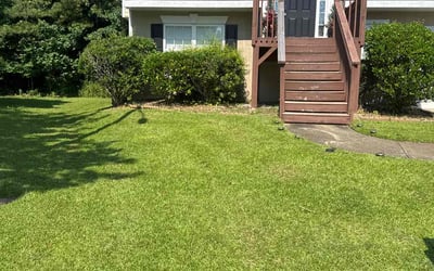 Photo of Chays D.'s yard after getting lawn care in Dallas, TX