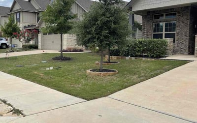 Photo of Christopher H.'s yard after getting lawn care in Georgetown, TX