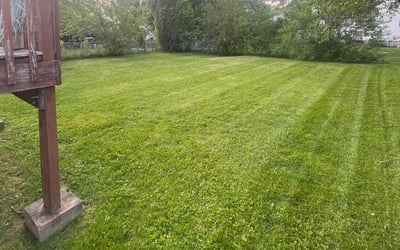 Photo of Philipa Y.'s yard after getting lawn care in Reynoldsburg, OH
