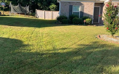 Photo of Antwone B.'s yard after getting lawn care in New Lenox, IL
