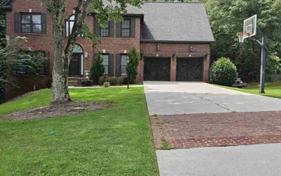 Photo of Terry H.'s yard after getting lawn care in Mableton, GA