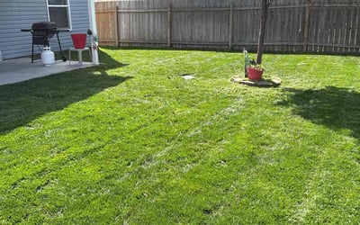 Photo of Caitlin H.'s yard after getting lawn care in Boise City, ID