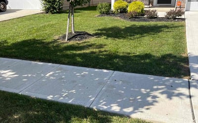 Photo of Avis Celeste J.'s yard after getting lawn care in Canal Winchester, OH