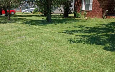Photo of Kelsey D.'s yard after getting lawn care in Murfreesboro, TN