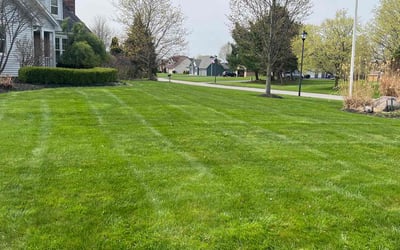 Photo of Frank D.'s yard after getting lawn care in Canandaigua, NY