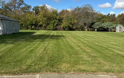 Photo of Vaughn W.'s yard after getting lawn care in Plainfield, IN