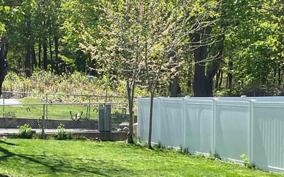 Photo of Jenna G.'s yard after getting lawn care in Stoneham, MA