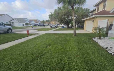Photo of Ted T.'s yard after getting lawn care in Boca Raton, FL