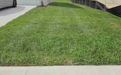 Photo of Jaswinder K.'s yard after getting lawn care in Manteca, CA