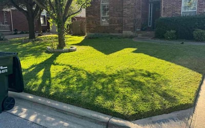 Photo of Terrance K.'s yard after getting lawn care in Austin, TX
