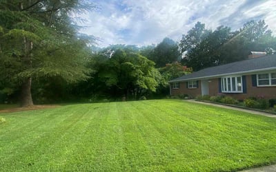 Photo of Liz S.'s yard after getting lawn care in Salisbury, NC