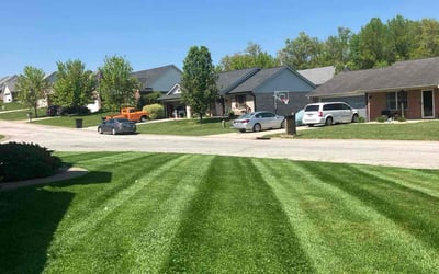 Photo of Robin C.'s yard after getting lawn care in Corydon, IN