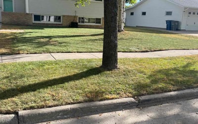 Photo of Anissa D.'s yard after getting lawn care in Moorhead, MN