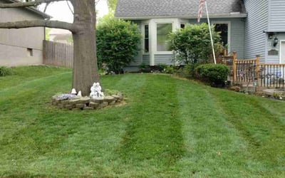 Photo of Julian H.'s yard after getting lawn care in Liberty, MO