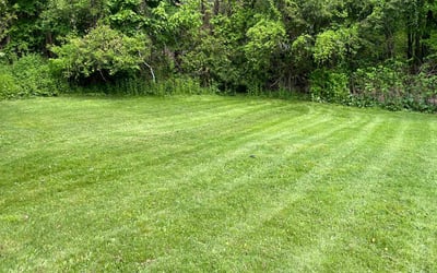 Photo of Ellen A.'s yard after getting lawn care in Southbury, CT