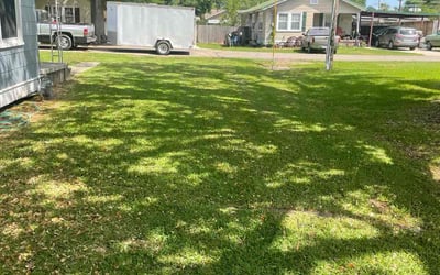 Photo of John R.'s yard after getting lawn care in Port Allen, LA