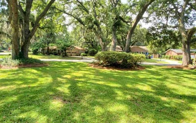 Photo of Lindsay G.'s yard after getting lawn care in Austin, TX