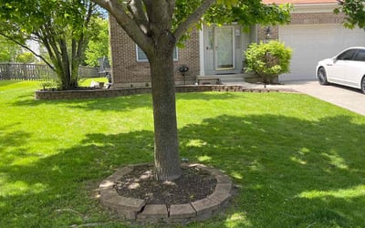 Photo of Henri W.'s yard after getting lawn care in Vernon Hills, IL