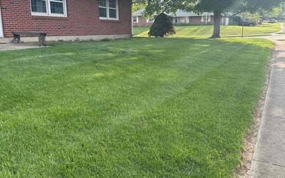 Photo of Ashley V.'s yard after getting lawn care in Fairborn, OH