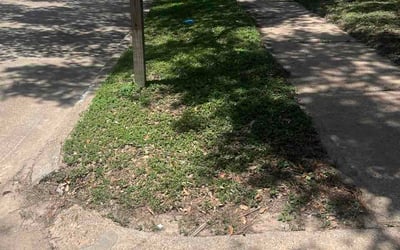 Photo of Frances A.'s yard after getting lawn care in Fort Washington, MD