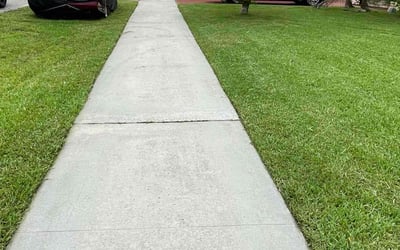 Photo of Kimbalee F.'s yard after getting lawn care in Hialeah, FL