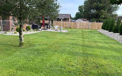 Photo of Benjamin W.'s yard after getting lawn care in Evansville, IN