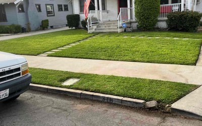 Photo of Jamal I.'s yard after getting lawn care in Covina, CA