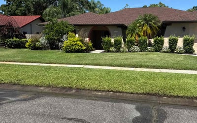 Photo of Pamela G.'s yard after getting lawn care in Decatur, GA