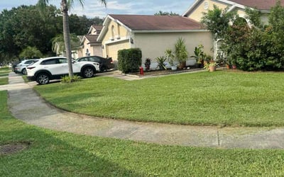 Photo of Justin C.'s yard after getting lawn care in Montclair, NJ