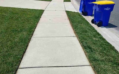 Photo of Steven B.'s yard after getting lawn care in Bethany Beach, DE