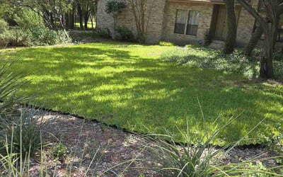 Photo of Tywun H.'s yard after getting lawn care in Floresville, TX