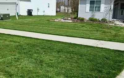 Photo of Kim, C.'s yard after getting lawn care in Howell, MI
