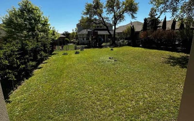 Photo of Rodney L.'s yard after getting lawn care in Henderson, TX