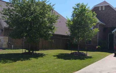 Photo of Carl m.'s yard after getting lawn care in Richmond, TX