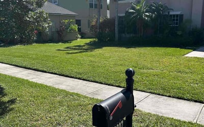 Photo of Anthony A.'s yard after getting lawn care in Lakeland, FL