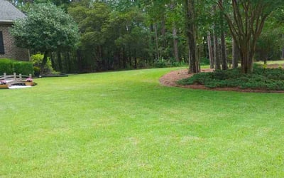 Photo of Jay M.'s yard after getting lawn care in Summerville, SC