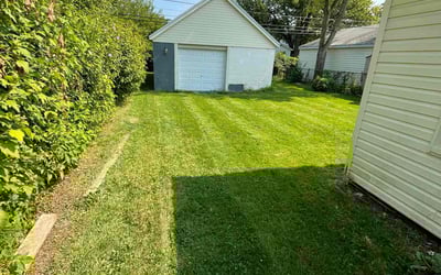 Photo of Kate A.'s yard after getting lawn care in Madison Heights, MI