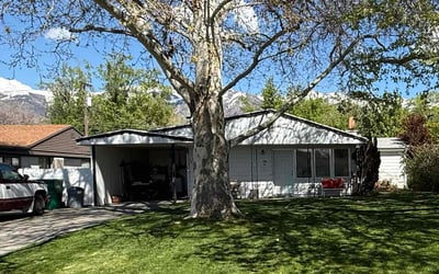 Photo of Lisa J.'s yard after getting lawn care in Layton, UT