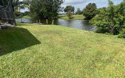 Photo of Louise F.'s yard after getting lawn care in Janesville, WI